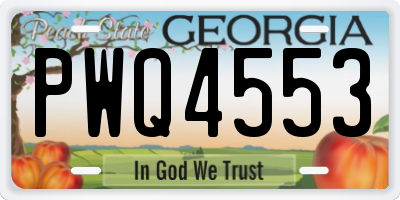 GA license plate PWQ4553