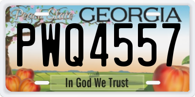 GA license plate PWQ4557