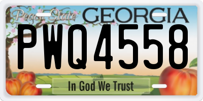 GA license plate PWQ4558