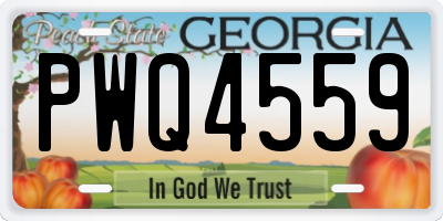 GA license plate PWQ4559