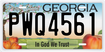 GA license plate PWQ4561