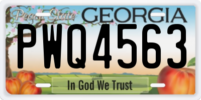 GA license plate PWQ4563
