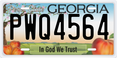 GA license plate PWQ4564