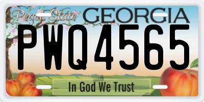 GA license plate PWQ4565