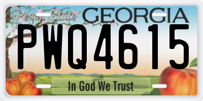 GA license plate PWQ4615