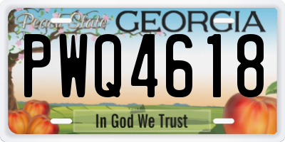 GA license plate PWQ4618