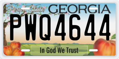 GA license plate PWQ4644