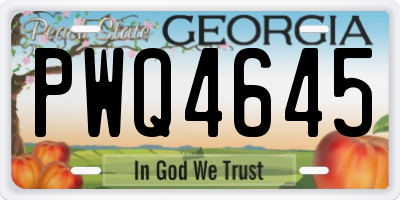 GA license plate PWQ4645