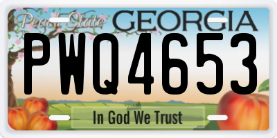 GA license plate PWQ4653