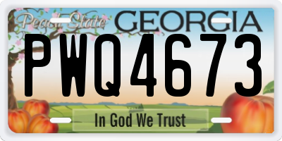 GA license plate PWQ4673