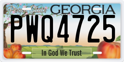 GA license plate PWQ4725