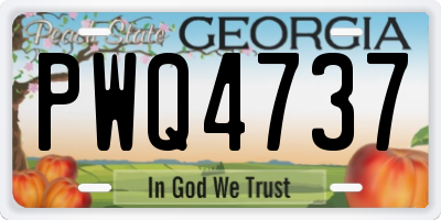 GA license plate PWQ4737
