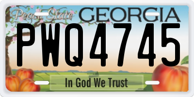 GA license plate PWQ4745
