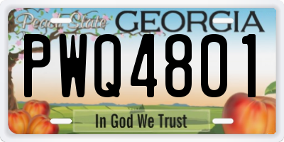 GA license plate PWQ4801