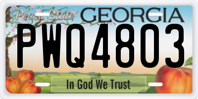 GA license plate PWQ4803