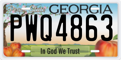 GA license plate PWQ4863