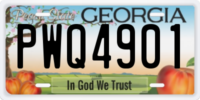 GA license plate PWQ4901