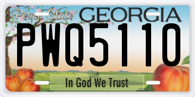 GA license plate PWQ5110