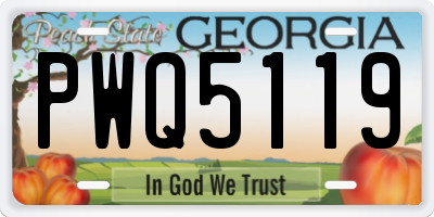 GA license plate PWQ5119