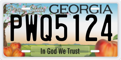GA license plate PWQ5124