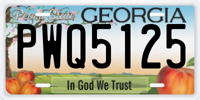 GA license plate PWQ5125