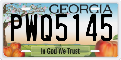 GA license plate PWQ5145