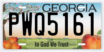 GA license plate PWQ5161