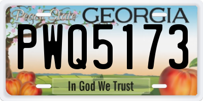 GA license plate PWQ5173