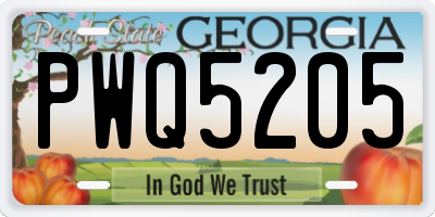 GA license plate PWQ5205