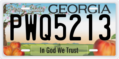 GA license plate PWQ5213