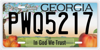 GA license plate PWQ5217