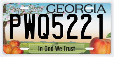 GA license plate PWQ5221