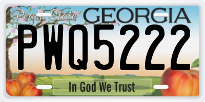 GA license plate PWQ5222