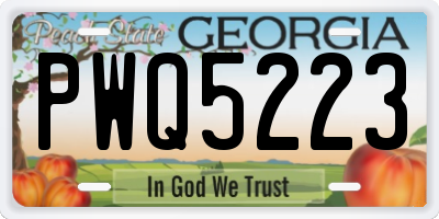 GA license plate PWQ5223
