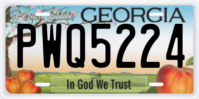 GA license plate PWQ5224