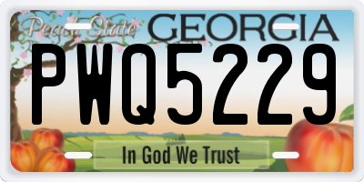 GA license plate PWQ5229