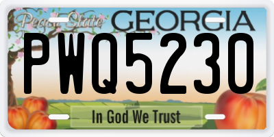 GA license plate PWQ5230