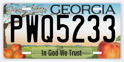 GA license plate PWQ5233