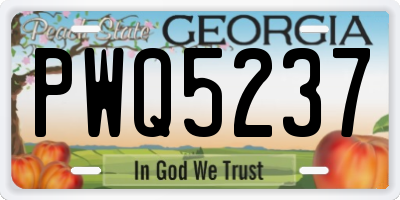 GA license plate PWQ5237