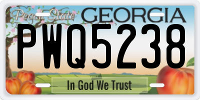GA license plate PWQ5238