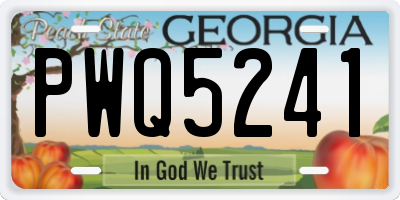 GA license plate PWQ5241
