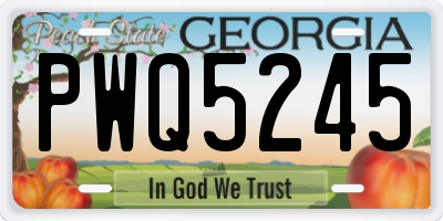GA license plate PWQ5245