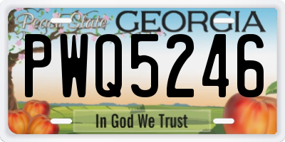 GA license plate PWQ5246
