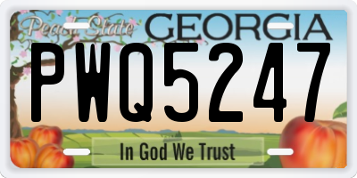 GA license plate PWQ5247