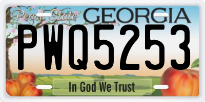 GA license plate PWQ5253