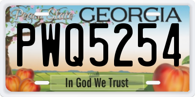 GA license plate PWQ5254