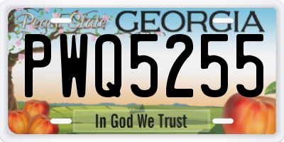 GA license plate PWQ5255