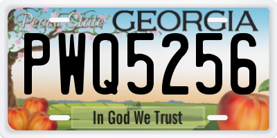 GA license plate PWQ5256