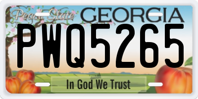 GA license plate PWQ5265