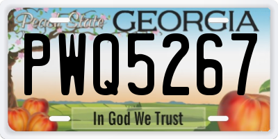 GA license plate PWQ5267